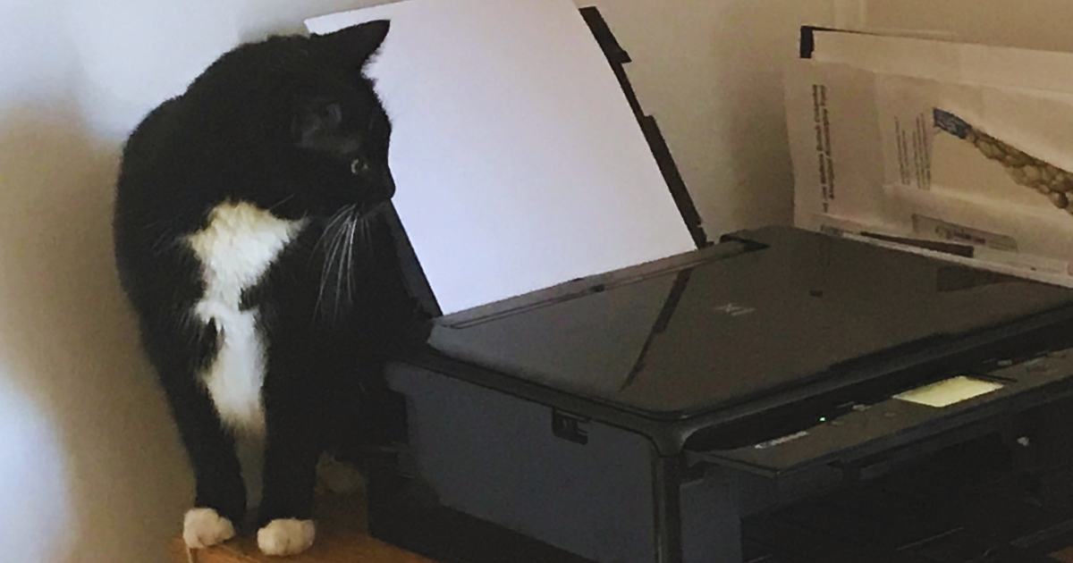 記事サムネイル